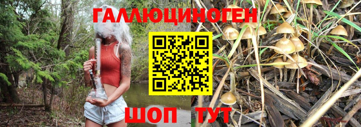 Каннабис  Десногорск  МДМА  ГАШ  МЕФ   Вход с VPN  Бошки Шишки 
