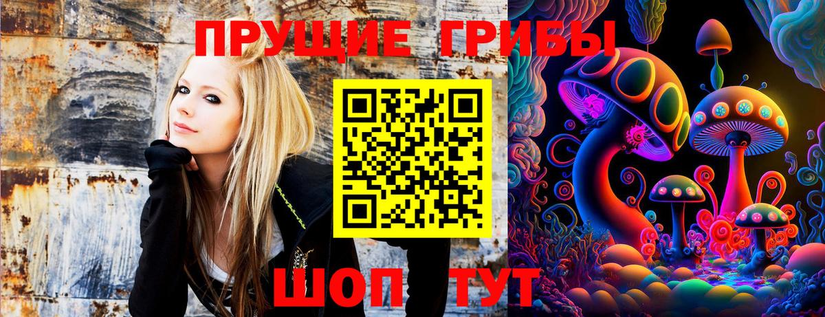 Десногорск  Псилоцибиновые грибы Psilocybe  Псилоцибиновые грибы GOLDEN TEACHER  Вход с VPN 