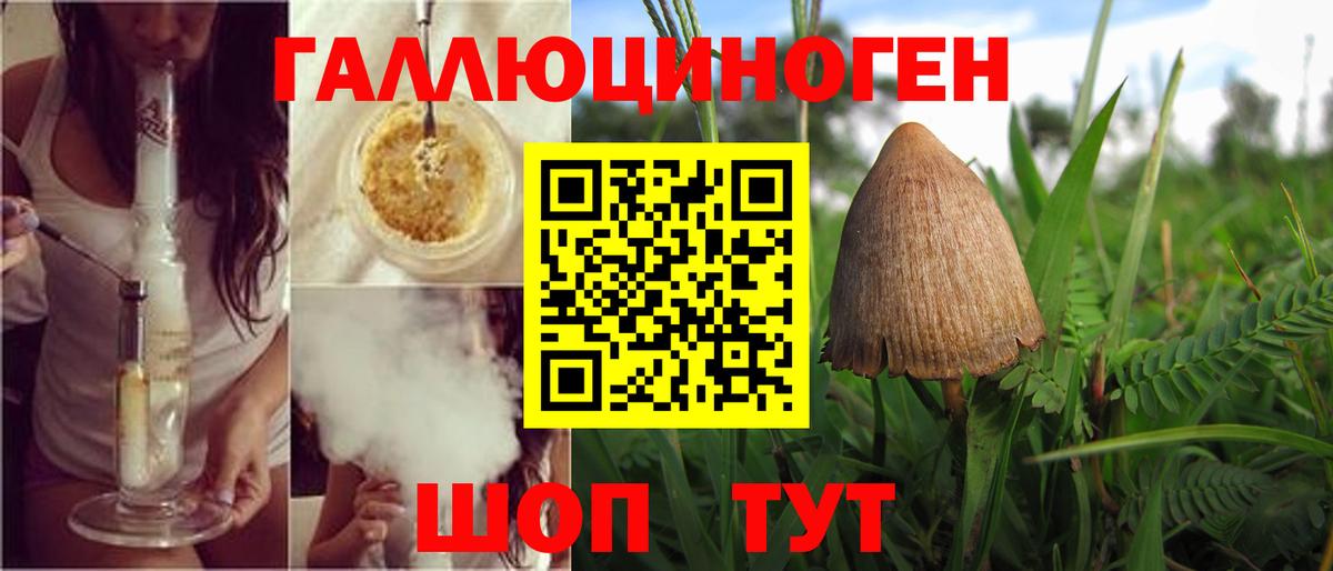 Галлюциногенные грибы мухоморы Десногорск